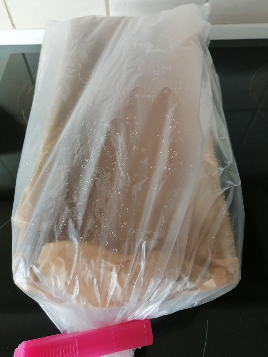Let the dough rise for 30 min.