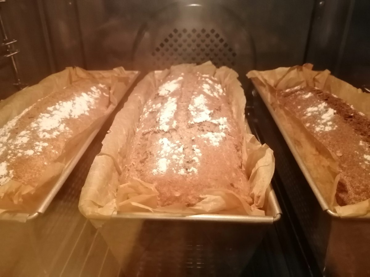 Glutenfree Oat-Bread (sourdough)