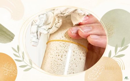 24-Hours Turbo Sourdough Starter
