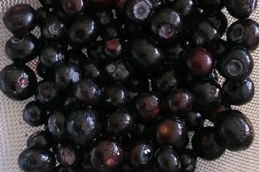 Wash the blueberries