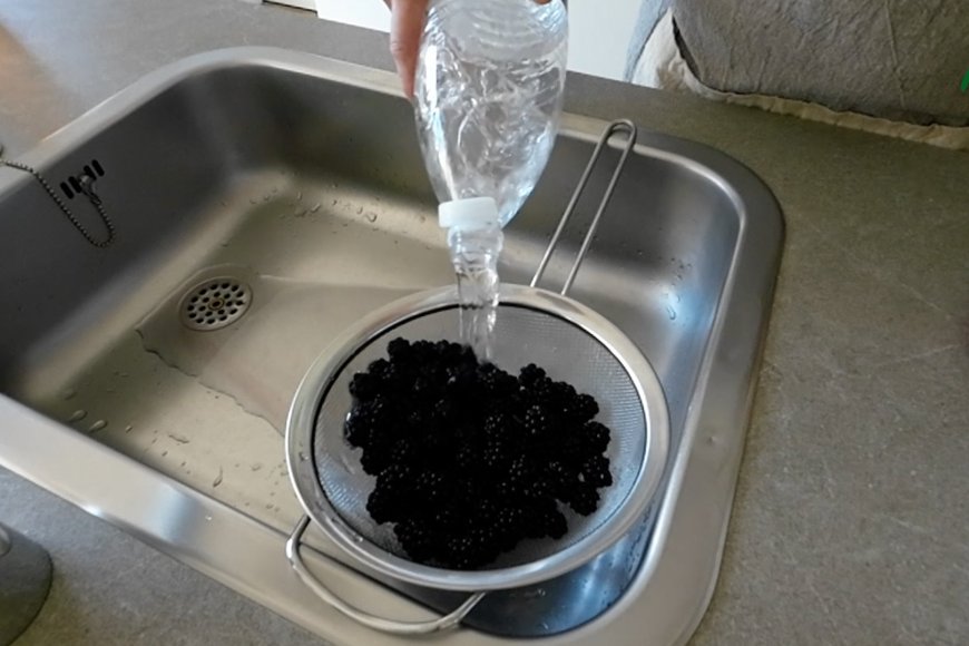 Rinse berries
